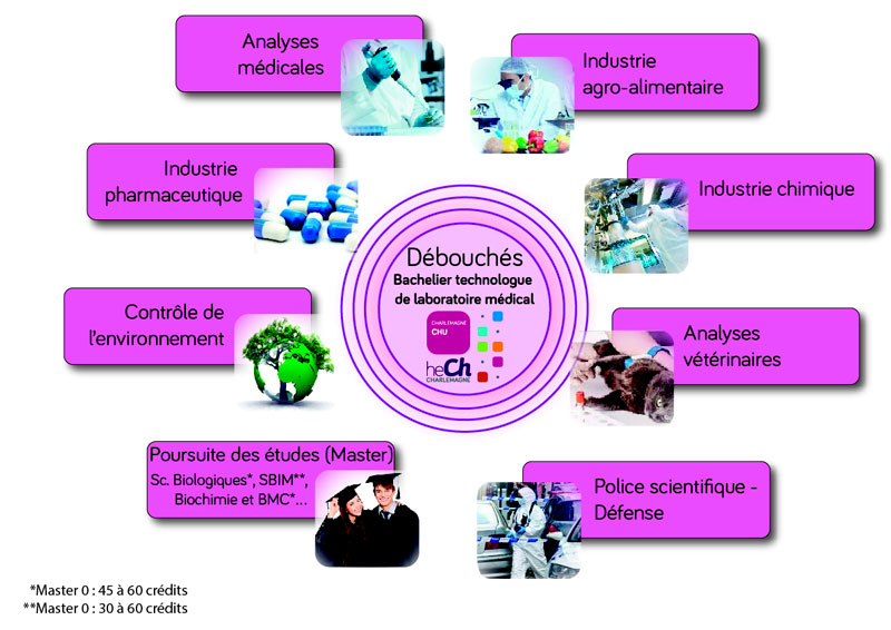 Bachelier - Technologue de laboratoire médical (Biologie médicale)  "Chimie clinique" 